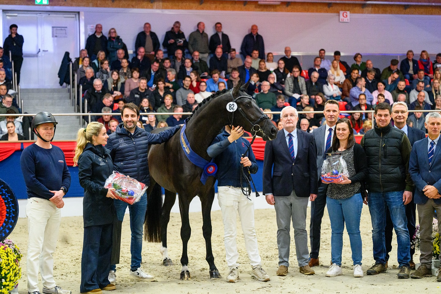 olaertsequestrian on Instagram